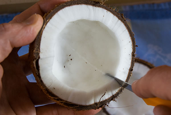 Kokosnuss Fruchtfleisch einschneiden