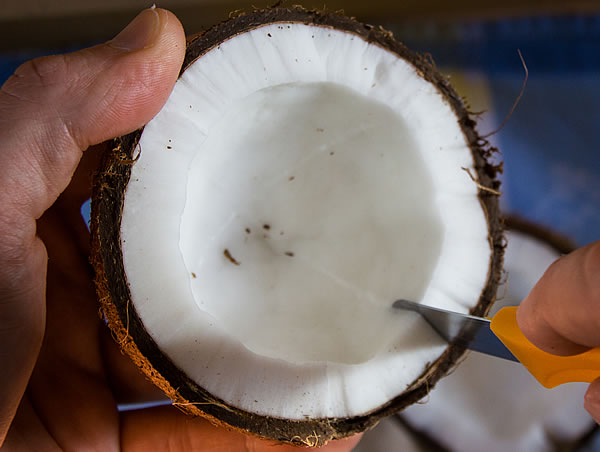 Kokosnuss Fruchtfleisch einschneiden