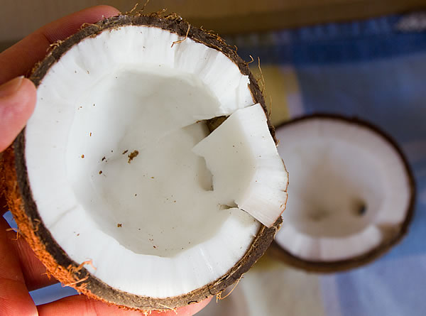 Kokosnuss Fruchtfleisch herauslösen