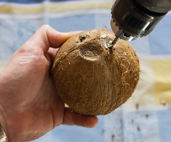 Kokosnuss zweites Loch bohren