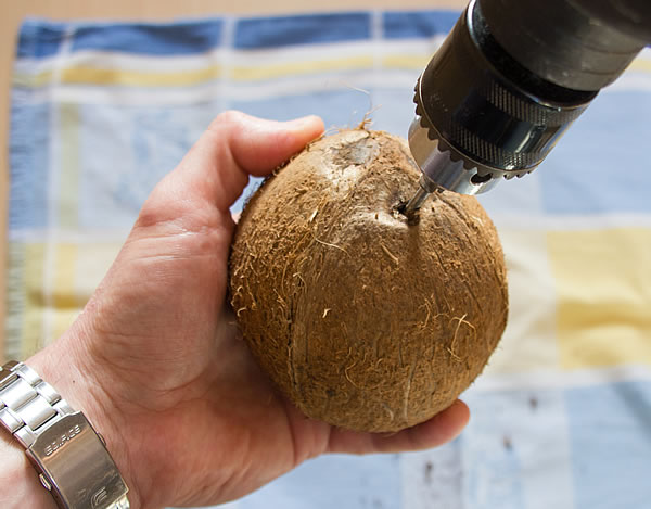 Kokosnuss Löcher bohren