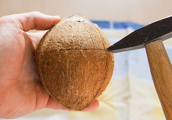 Kokosnuss-Schale beim Bearbeiten drehen